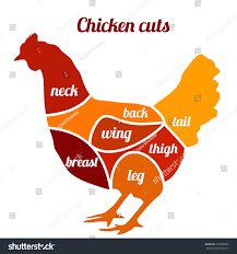 Chicken Cuts Vector Illustration Chicken Meat Animals