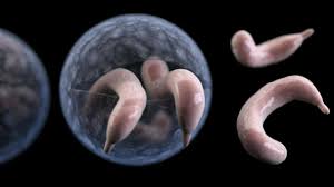 Wegen Chlorresistenter Parasiten Was Sie Vor Dem Schwimmen Immer Machen Sollten The Weather Channel Artikel Von The Weather Channel Weather Com