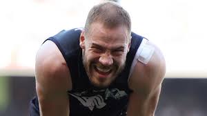 AFL 2024 round 23 teams and expert tips