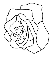 Trandafiri, lalele, floarea soarelui, zambile, ghiocei si multe alte flori te asteapta sa le colorezi. Planse De Colorat Flori Trandafiri De Colorat P19 Desene De Colorat Flori Trandafiri De Colorat P19
