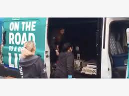 Oregon humane society located in portland, oregon is a private, nonprofit animal shelter serving the needs of over 11,000 pets each year. California Fires Oregon Humane Society Gets 22 Cats For Adoption Portland Or Patch