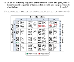 Solved 12 Given The Following Sequence Of The Template S