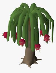 This requires level 81 farming. Dragon Fruit Tree Osrs Hd Png Download Kindpng