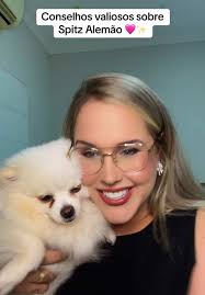 Como Saber A Cor Que Seu Lulu Da Pomerania Vai Ficar