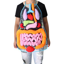 Check spelling or type a new query. Anatomy Apron Human Body Organs Awareness Preschool Science Home School Teaching Kids Educational Insights Toys For Children Biology Aliexpress