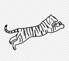 Seis inmensos correos electrónicos escritos en seis noches puede que sean muchas las reseñas que se hagan sobre este libro pero, por muchas que leamos, nunca conseguiremos hacernos una idea de lo que. Tigre De Bengala Dibujo Para Colorear Presa Del Tigre Blanco Mamifero Png Pngegg