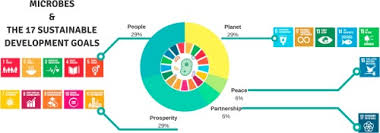 The Role Of Microorganisms In Achieving The Sustainable