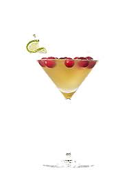 Cocktail Cosmopollo Saq Com Punch Cocktails Cocktails Martini Glass
