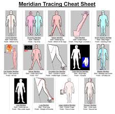 image result for tracing meridian on kids bladder