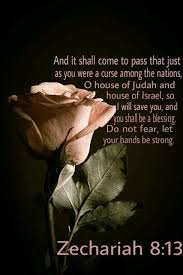 Zechariah 8 13 In That Day Israel Will Be A Blessing And Will Be Blessed By God Flowers Black Background Beautiful Roses Beautiful Flowers