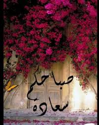 Pin On صباح الشهد والعسل صباح الحب والغزل صباح مصحوب بالامل صباح الورد يا عسل