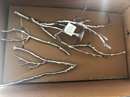 So that we can help resolve your issue, we may ask for photos to determine the best course of action (e.g. Z Gallerie Reviews 25 Reviews Of Zgallerie Com Sitejabber