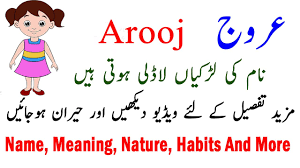 I can but plead as my excuse the fact that i have throughout been inspired by my feelings of devotion for your majesty and the empress. Inefficient Meaning In English Urdu