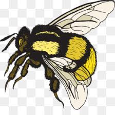 Bee Drawing Png Bee Drawing Cartoon Bee Drawing Animated Bee Drawing Flower Bee Drawing Color Bee Drawing Flash Bee Drawing Background Bee Drawing Cute Bee Drawing Template Bee Drawing Art Bee Drawing Vector Bee Drawing Plants Bee Drawing Book 1024 x 768 jpeg 346 кб. bee drawing png bee drawing cartoon