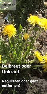 Pin Auf Gartenunterhalt