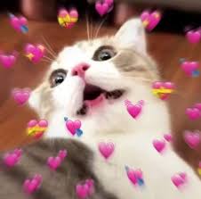 About press copyright contact us creators advertise developers terms privacy policy & safety how youtube works test new features à¸¥ à¹‚à¸­ à¸‡à¹à¸¡à¸§à¸™ à¸²à¸£ à¸ Dek D Com