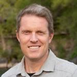 Wiggle Transform Shape Layer