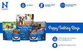 Take $5 off order of $50 or more. Amazon Com N Bone Puppy Teething Ring Pumpkin Flavor 3 6 Oz 3 Rings Pet Supplies
