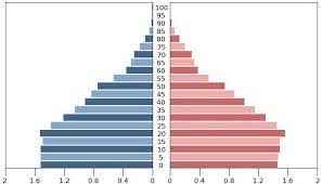 Population of afghanistan 2020 and historicalподробнее. Population Pyramid Morocco Male Female Download Scientific Diagram