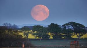 Timings in india, how to watch the full moon last month we witnessed the super pink moon and now you have the chance to witness another check out this stunning express photo coming from navi mumbai, shot by amit chakravarty. Supermoon 2020 Netizens Share Mesmerizing Pics Of Super Flower Moon