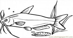 Catfish Coloring Pages Free Printable Coloring Page Catfish 8 Animals Fishes Coloring Pages Fish Coloring Page Free Printable Coloring Pages