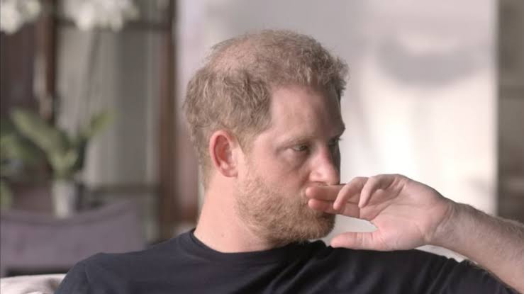 Prince Harry appeared 'genuinely angry, upset' and was the driver behind  the second instalment of Netflix docuseries with Meghan Markle | News24