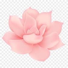 We upload amazing new content everyday! Succulents Flowers On Transparent Png Similar Png