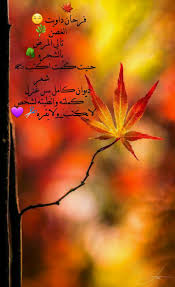 فرحان داويت الجرح تالي المرض بالشجره حنيت كمت اكتب شعر ديوان كامل بس غزل كملته وانطيته الشخص لايكتب ولا يقره Movie Posters Poster Art