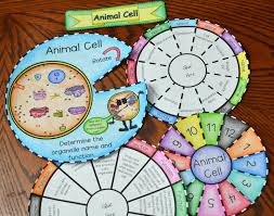 We did not find results for: Animal Cell Foldable