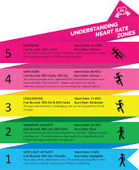 10 Factual Cardio Zone Heart Rate Chart