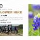 Texas Wildflower Hike at Knob Hill Bike Trail —.... event in Roanoke, TX