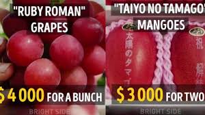 Orang kristen harus menyebut nama tuhan dengan nama yhwh. Https Style Tribunnews Com 2021 06 09 Nasib Makanan Kontestan Masterchef Indonesia Setelah Dicicipi Juri Benarkah Dibuang Ini Faktanya Https Cdn 2 Tstatic Net Style Foto Bank Images Chef Arnold Poernomo 6y Jpg Chef Arnold Poernomo Chef Arnold