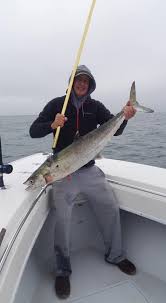 Remember that to practice any activity at sea like diving. Oak Island Fishing Reports Latest News From Captain Wally