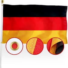 Image result for Glebionis carinata `German Flag`