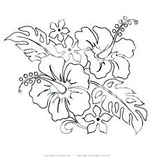 Hawaiian Flowers Coloring Pages Flower Coloring Page Flowers Pages Flower Coloring Pages Flower Drawing Hawaiian Flower Drawing