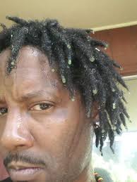 Have you ever washed your hair with cactus and aloe vera?