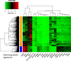 People of color who are diagnosed with lung cancer face worse outcomes compared to white americans because they are less likely to be diagnosed early, less likely to receive surgical treatment, and more likely to not receive any treatment. Genomic Analyses Based On Pulmonary Adenocarcinoma In Situ Reveal Early Lung Cancer Signature Bmc Medical Genomics Full Text