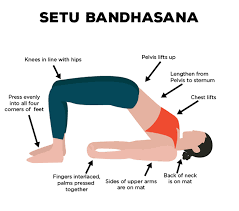 setu bandhasana and what are its benefits