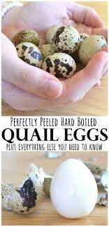 It won't hurt if you add ice cubes in there. Pin On Egg Recipes