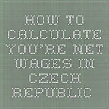Calculation Of Net Earnings 2015 Czech Republic Czech Calculator
