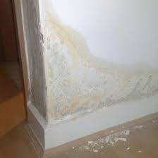 Check spelling or type a new query. Anti Condensation Paint Anti Damp Product Guide Rawlins Paints