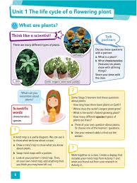 Uremia (waste buildup in your blood) fatigue—possibly caused by anemia. Project 1 Biology The Life Cycle Of A Flowering Plant Pdf Flowers Pollination