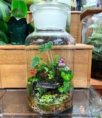 One Our Favorite And Trickiest Terrarium Design Terrarium Terrarium Wedding Mini Terrarium