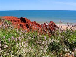 The protest camp at james price point where phil roe spent four years. James Price Point Wa
