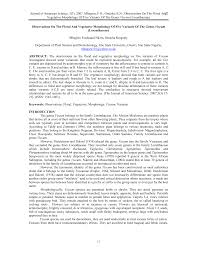 Image result for Viscum congolense