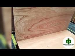 +surya namsaskar single images : Jual Plywood Triplek Kualitas 1 Harga Murah Pt Bajra Bumi Nusantara
