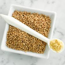 What Are Mustard Seeds And How Are They Used