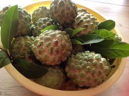 Sitafal Anush Castard Apple Jamaican Recipes Fruit Fruits And Vegetables