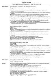 business management associate resume
