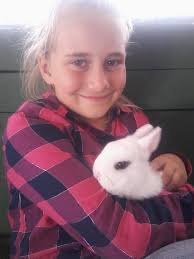 A few pictures from the Fair.